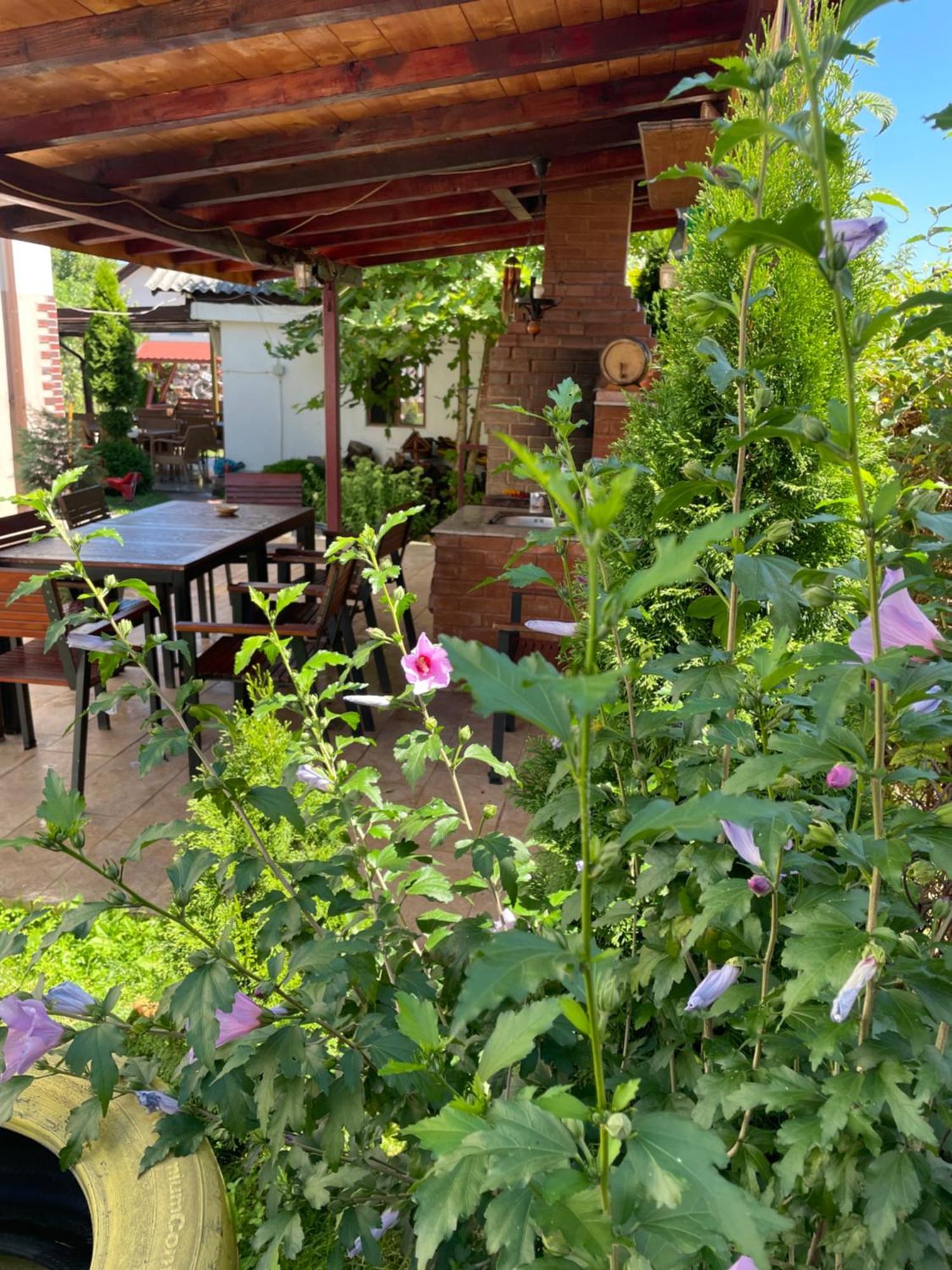 Pensiunea Casa Rica Călimăneşti Екстериор снимка