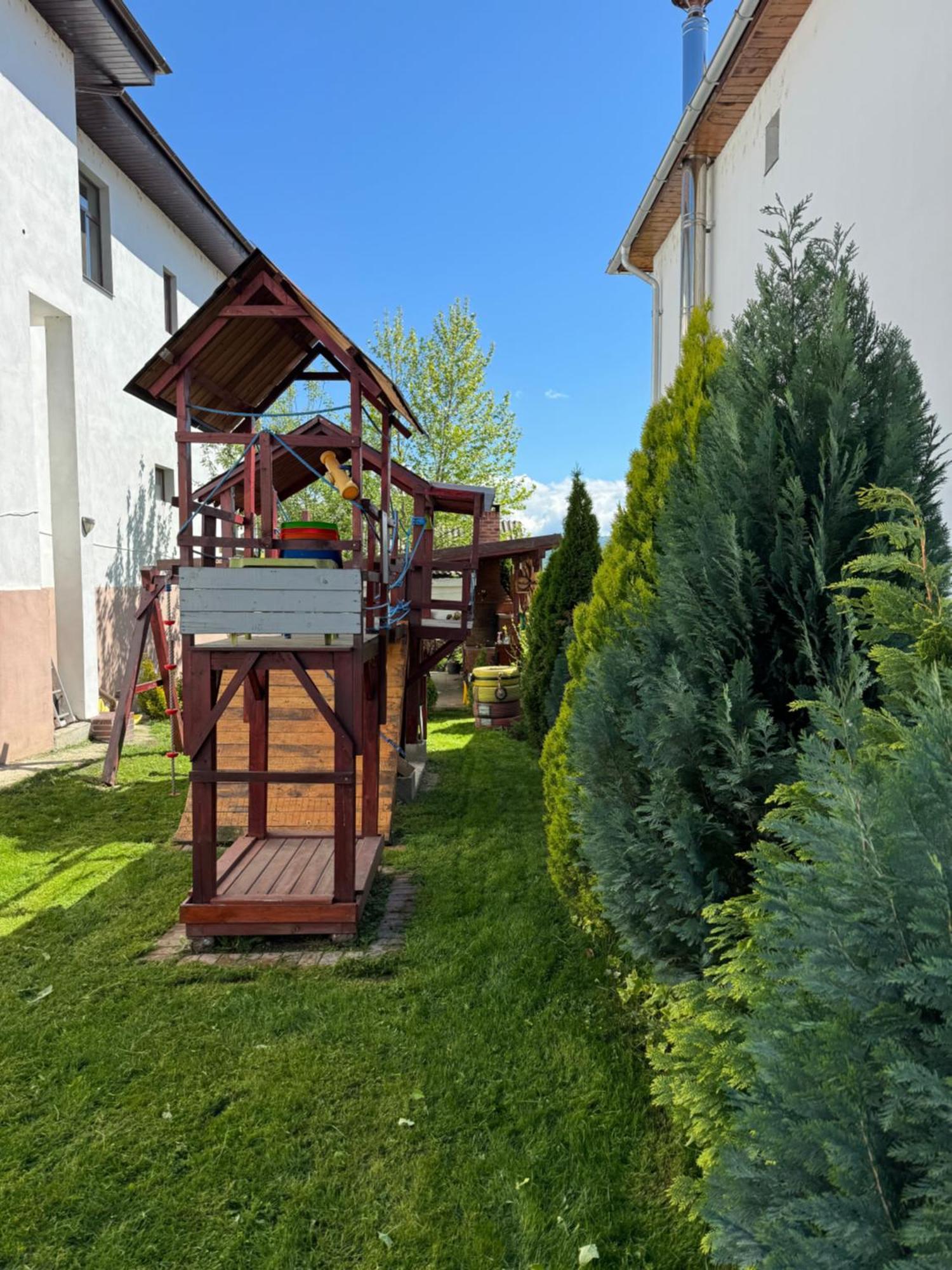 Pensiunea Casa Rica Călimăneşti Екстериор снимка