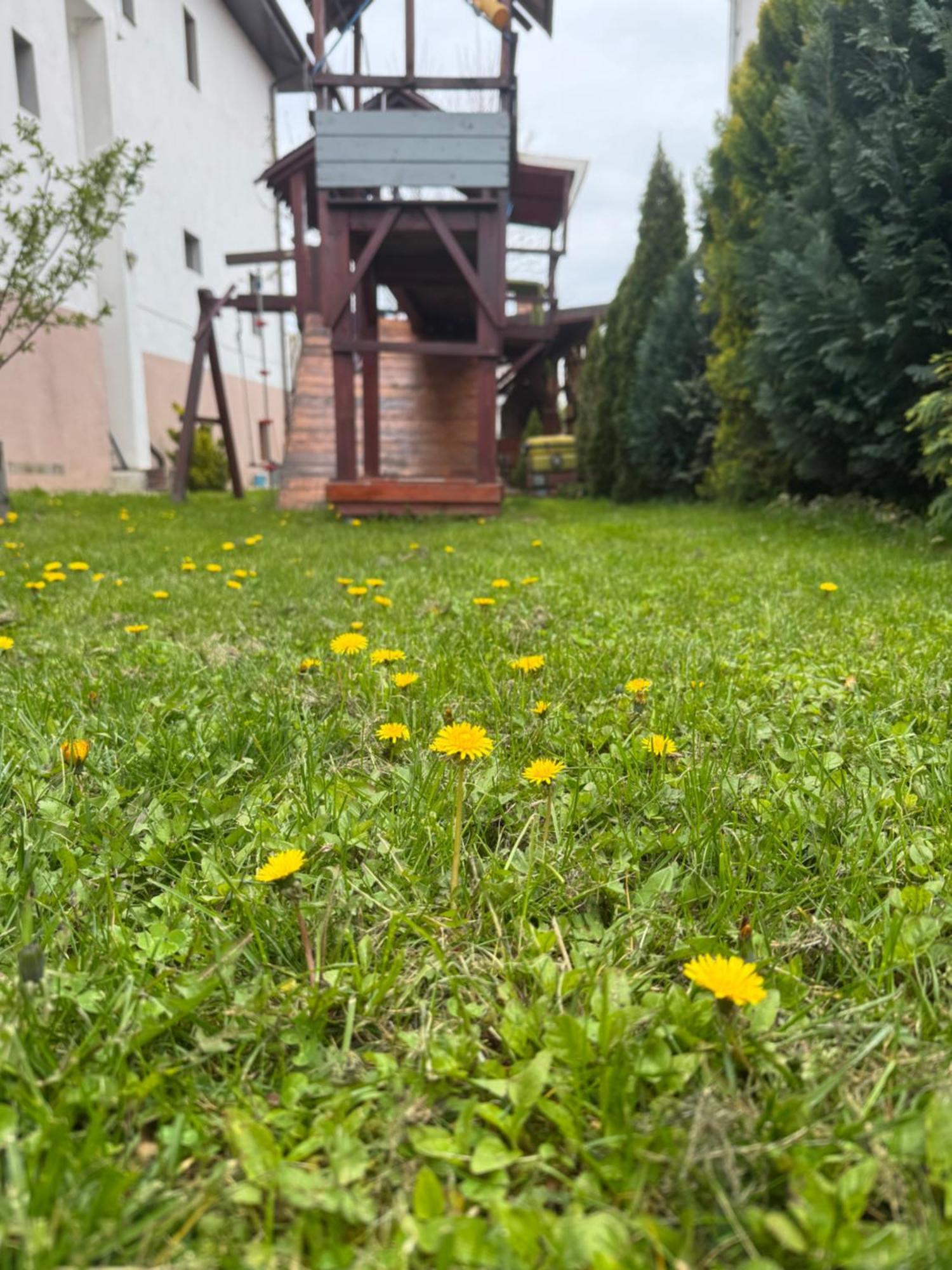 Pensiunea Casa Rica Călimăneşti Екстериор снимка